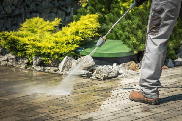 Best Soft Washing  in Cabana Colony, FL